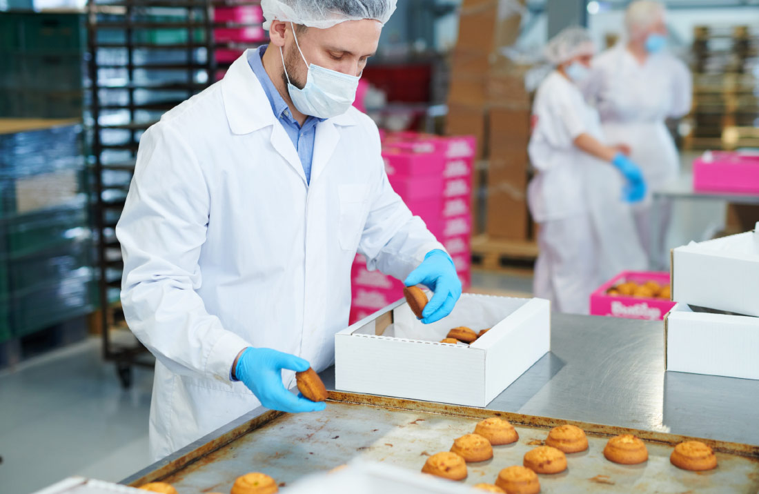 Food manufacturing PPE equipment